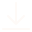 Download Icon